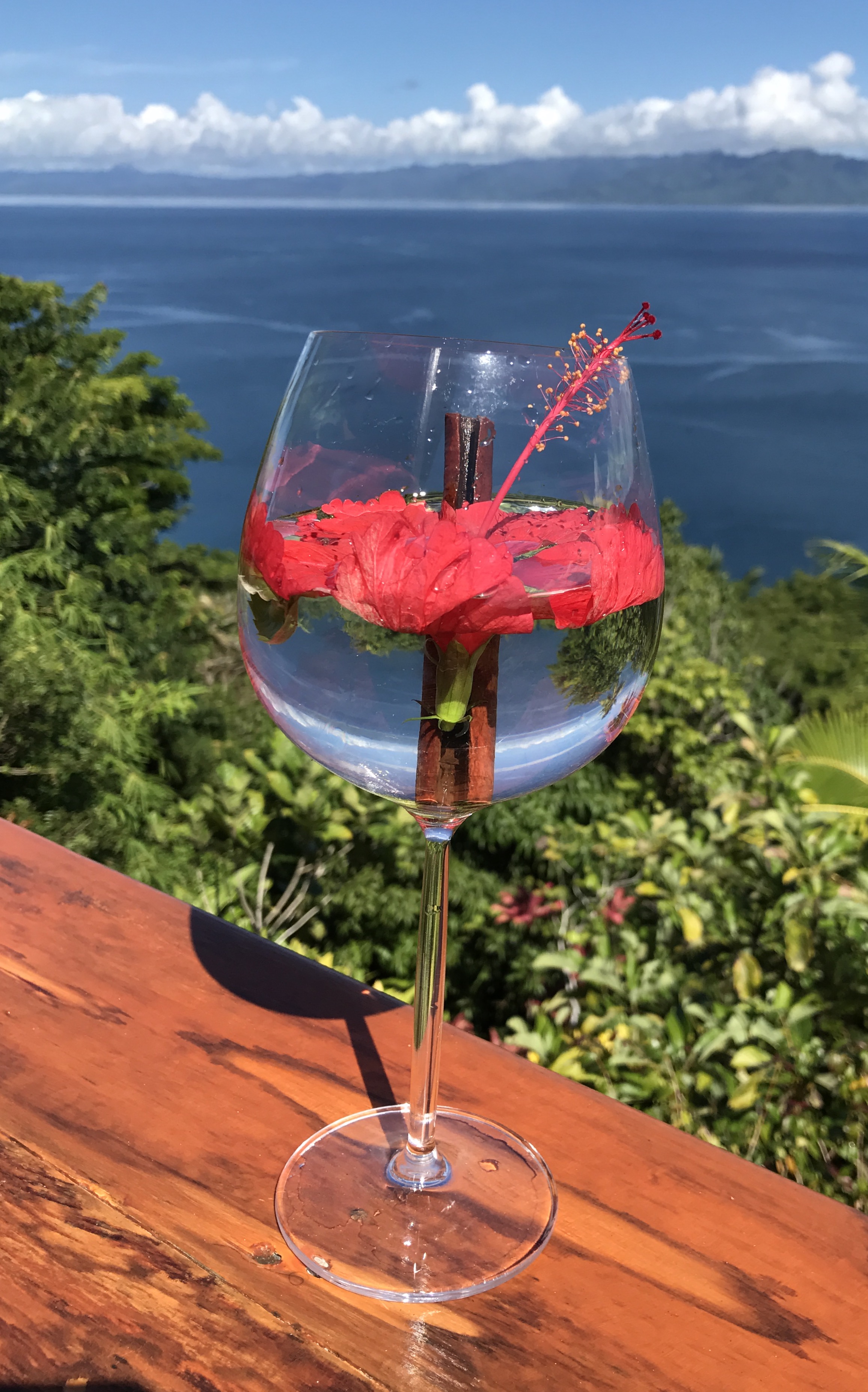 Hibiscus wellness drink