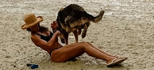 Sharon Wild and Zeus on the beach