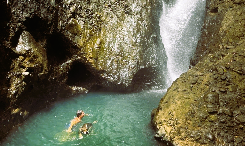 Jungle discoveries at Naveria Heights Lodge